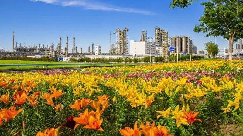 建筑用分散剂定制生产的奥秘与关键